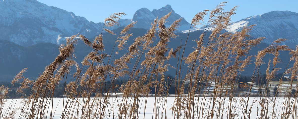 Winterurlaub Hopfensee