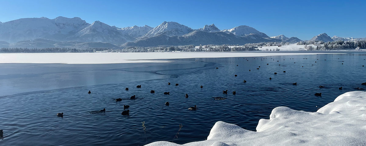 Winterurlaub Hopfensee